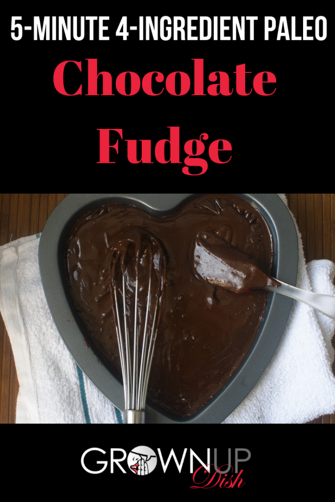 Paleo Chocolate Fudge that you can make in 5 minutes, with only 4 ingredients ... and it tastes AMAZING! Easy recipe that's perfect for gifting. | www.grownupdish.com