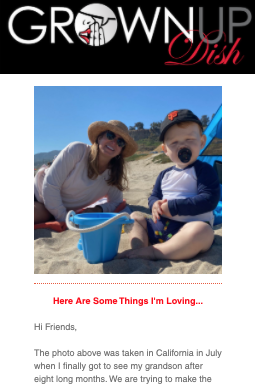 The August 2020 Grownup Dish newsletter features my five favorite summer books, some quintessential summer recipes and a photo of my very cute grandson. | www.grownupdish.com