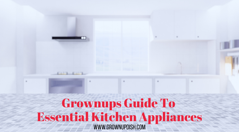 Grownups Guide To Essential Kitchen Appliances